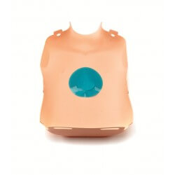 Borsthuid Little Junior QCPR
